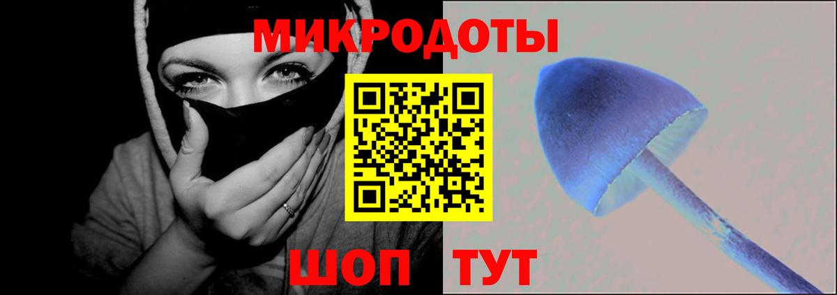 Псилоцибиновые грибы прущие грибы Кизляр